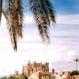 Catedral de Palma de Mallorca by Ricard Passarell