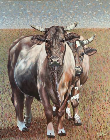 Original Cows Paintings by Nicolas Gheur