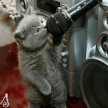 Mic Check by Zo La Placa