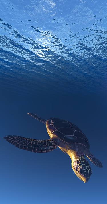 Sea Tortoise Diving thumb