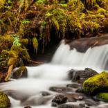 Collection Natural Landscapes
