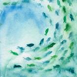 Sardines by Andrea Gingerich