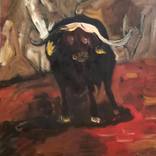 Collection Animal Paintings