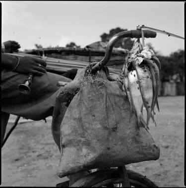 The fish commerce - Kabadio - Senegal thumb