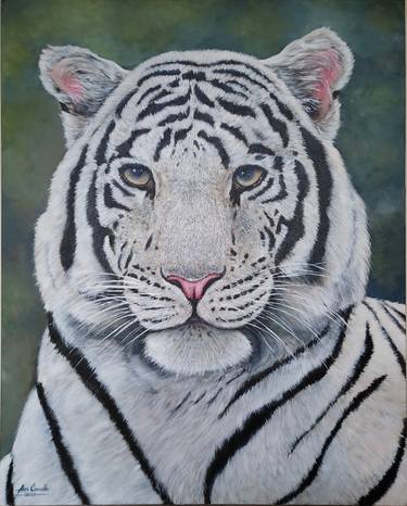 Original Photorealism Animal Paintings by Alex Carvalho