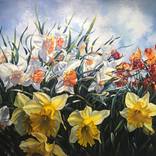 DANCING IN THE LIGHT by Amanda McPaul
