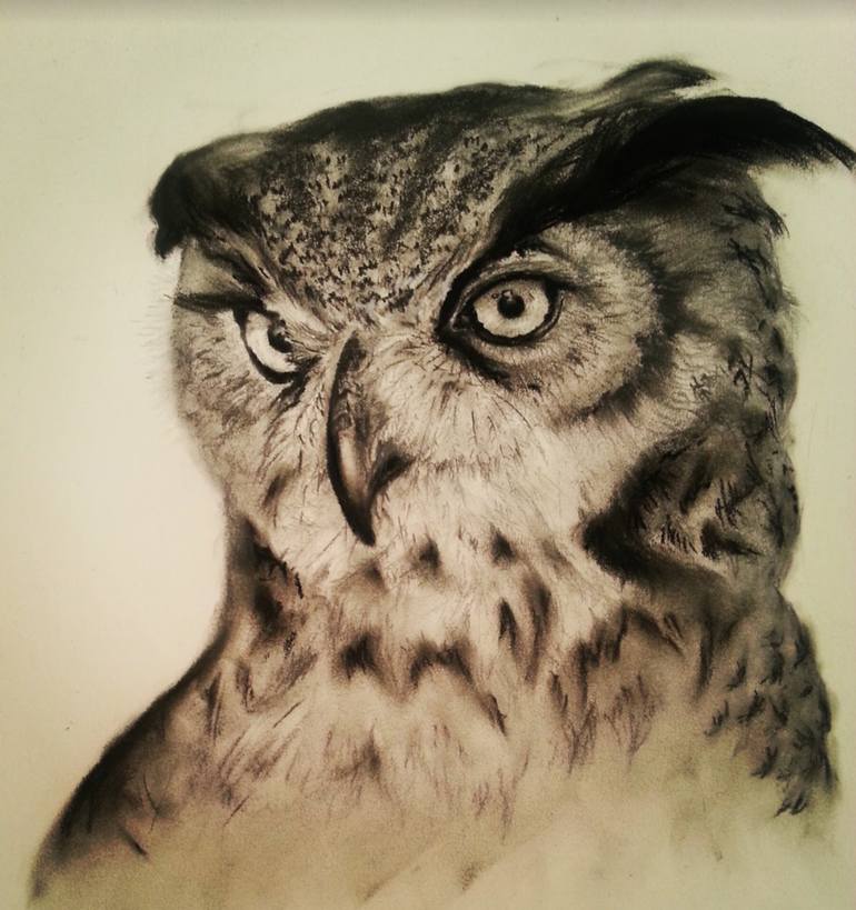 The Owl Drawing by DEMET YAVUZ | Saatchi Art