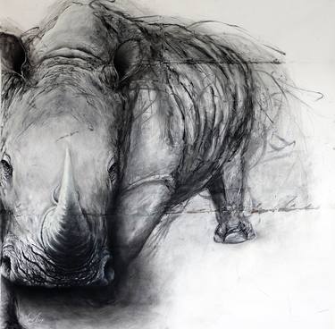 Original Fine Art Animal Drawings by Fiona Tang