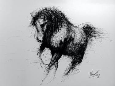 Print of Horse Drawings by Fiona Tang