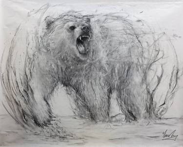 Original Animal Drawings by Fiona Tang