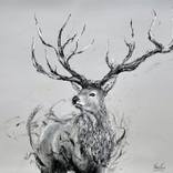 Elk by Fiona Tang