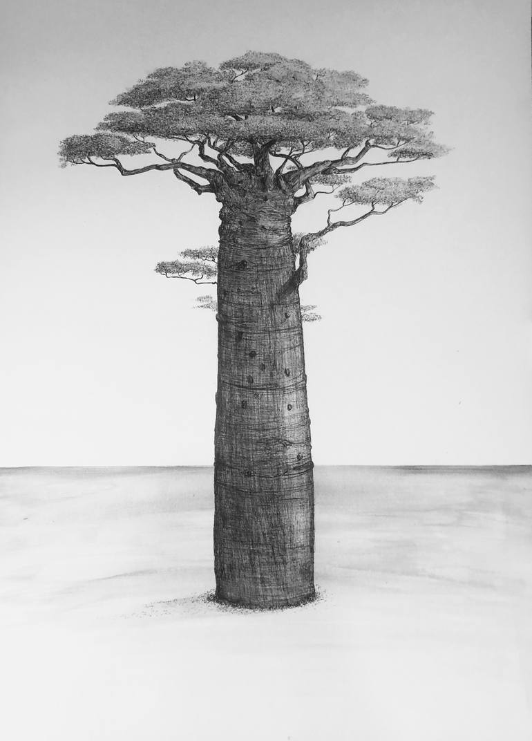 black and white trees drawing