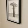 Baobab created using a mixture of archival black ink and a simple ballpoint pen with rain water. A little paint to set the landscape behind. The artwork is on 5mm thick mount-board. Size A2. 

This is the largest of my tree illustrations, and one of the most standout. It was a 3 full day piece, and extremely rewarding to frame at the end. The frame pictured is box frame. However I feel the artwork would sit well in a shallower frame, with or without mount (a grey mount would be striking).