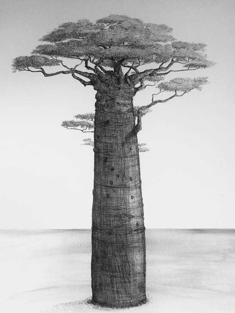 Original Tree Drawing by MSillo Tree Artist