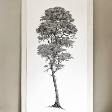 Tall Pine Tree, Original Fine Line Drawing, Black White Ink Pen Illustration, Portrait thumb