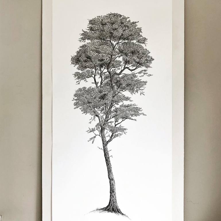 black and white pine tree sketch