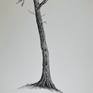 Tall Pine Tree, June 2020

This listing is for the original, signed work. Dated 18/06/2020.

A highly detailed, fine line drawing. Black ink pen tree on minimal white background. 

The artwork can be purchased framed or unframed. This listing is unframed, but message me if you would like to discuss framing options.

Size:
Height 75cm
Width 35cm

On 300gsm hot press watercolour paper.

The artwork will be posted flat, 1st class tracked and signed for.