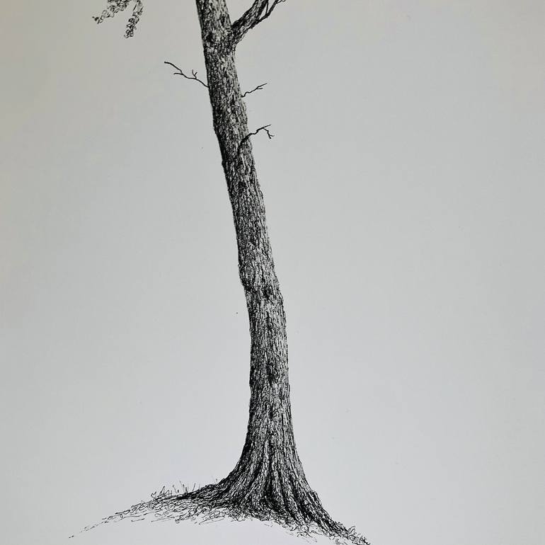 Original Tree Drawing by MSillo Tree Artist