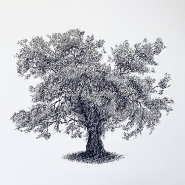 Oak Tree, Ink Drawing, Fine Line Detailed Original, Black and White, Tree Artist MSillo thumb
