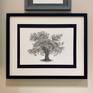 Oak Tree, 2020.
Tree artist, MSillo.
A fine line, highly detailed black ink drawing, finished with a little water on brush.
Surface: 300gsm thick hot press, smooth paper.
This artwork can be framed on request. The framed example picture shows a 22 x 16 inch frame with an A3 mount.