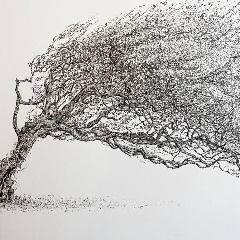Original Other Landscape Drawing by Msillo Tree Artist
