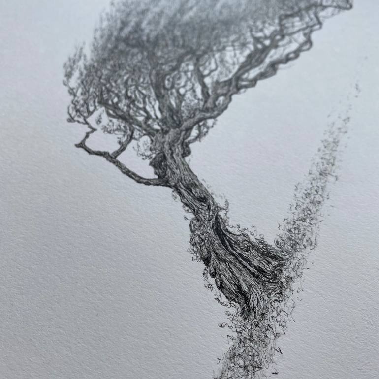 Original Other Landscape Drawing by Msillo Tree Artist