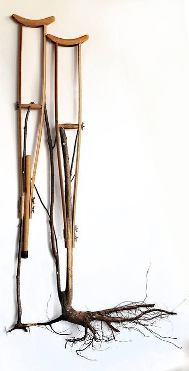 Crutches with poplar roots ll thumb