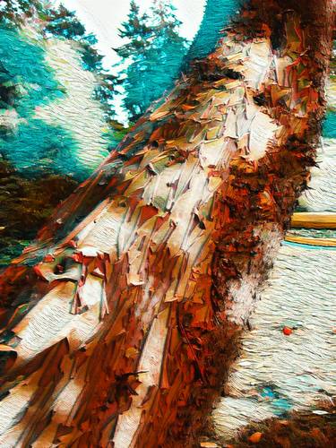 Original Abstract Expressionism Nature Photography by Karen Colville