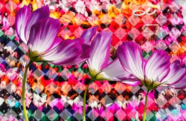 Original Botanic Collage by Karen Colville