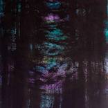 Lynch's forest. by Natalia Maleleva