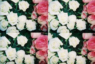 Original Realism Floral Photography by Paulina Ines