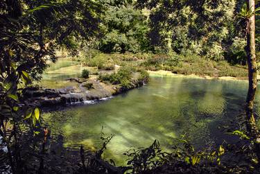 Original Documentary Nature Photography by Henk Visser