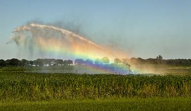 Original Photorealism Nature Photography by Henk Visser