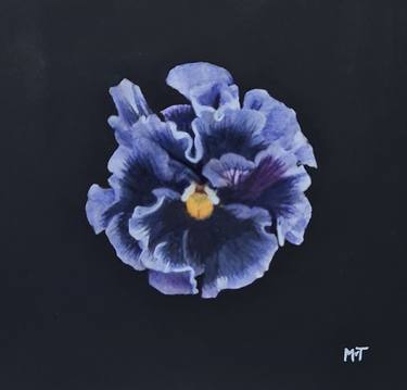 Original Fine Art Floral Paintings by Mieke van Thiel