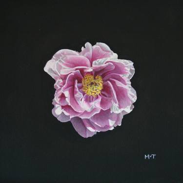 Original Fine Art Floral Paintings by Mieke van Thiel