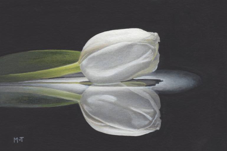 White tulip on mirror