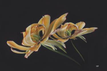 Print of Realism Floral Paintings by Mieke van Thiel