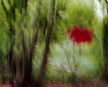 Original Fine Art Landscape Photography by Pauline Ruhl Saur