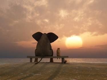elephant and dog are sitting on the seashore thumb