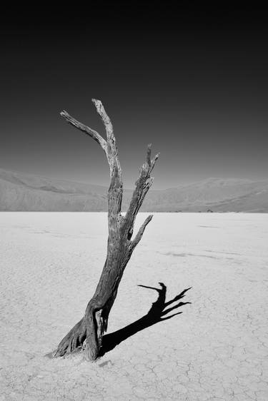 deadvlei II - Limited Edition 1 of 10 thumb