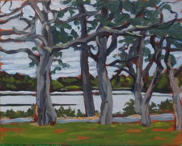 Trees by the lake, Mt Uniacke Estate, Nova Scotia thumb
