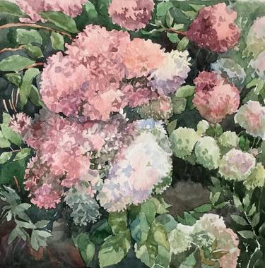 Original Floral Paintings by Olena Dziuba