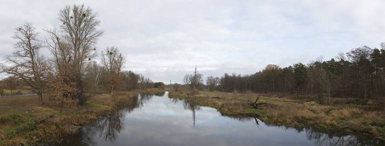 Original Landscape Photography by Matthias Leupold | Documentary Art on Paper | Fall Colors Along the Spree River, Berlin - Limited Edition of 6