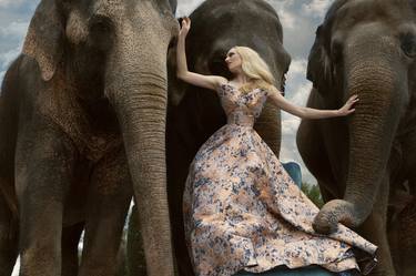 Autumn For The Elephants - Limited Edition of 5 image