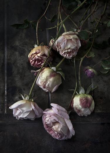 Original Fine Art Floral Photography by CHRIS L JONES