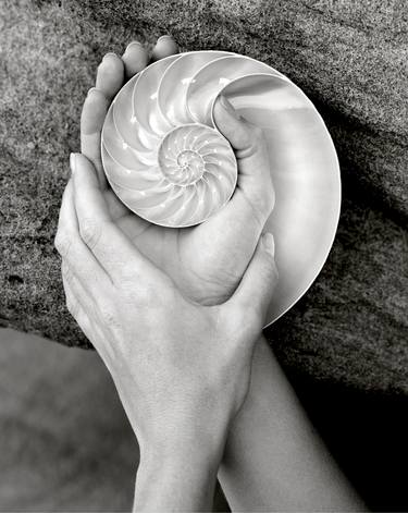 Hands and Nautilus - Limited Edition of 20 thumb