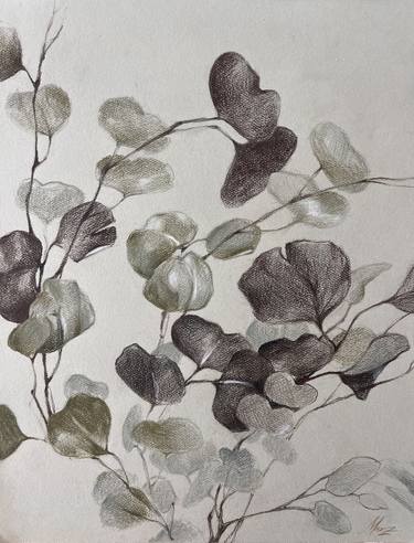 Original Conceptual Botanic Drawings by Marina Merz