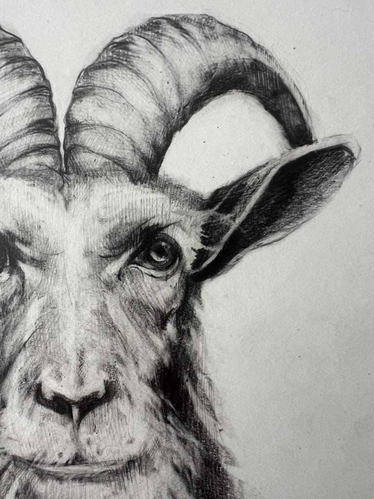 Original Graphics And Animation Animal Drawing by Marina Merz