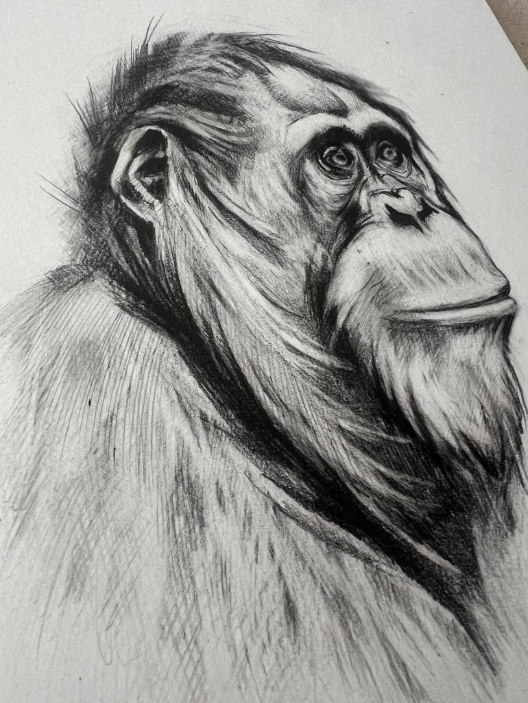 Original Black & White Animal Drawing by Marina Merz