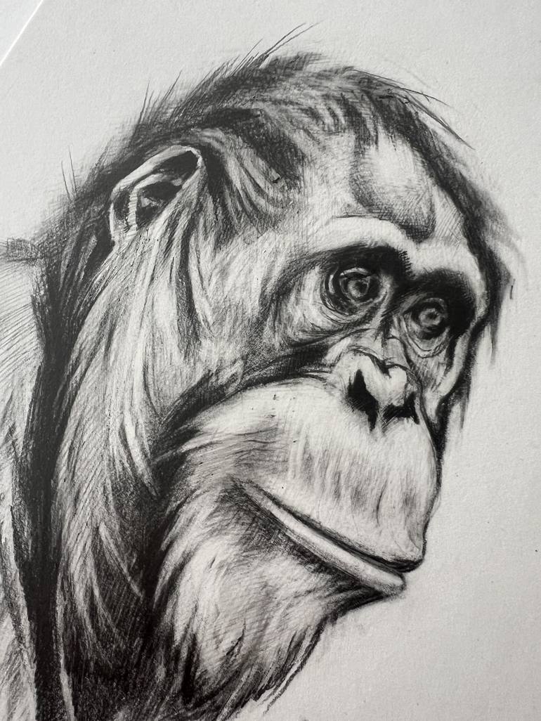 Original Black & White Animal Drawing by Marina Merz